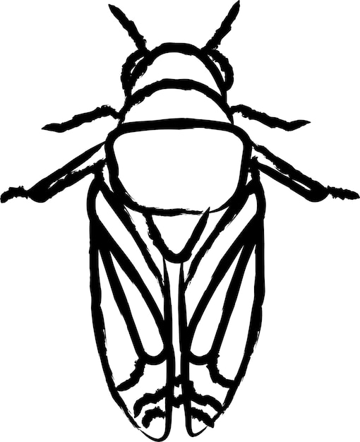 Cicadidae handgezeichnete vektorillustration