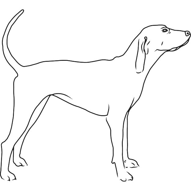 Vektor coonhound hund hand skizzierte vektorzeichnung