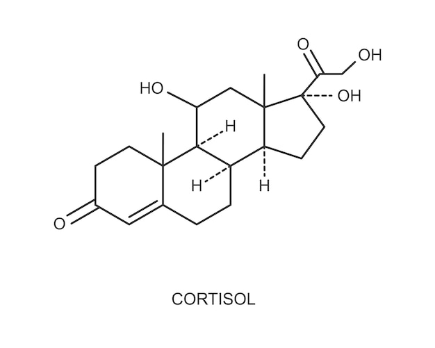 Cortisol-hormon-symbol. chemische molekularstruktur von hydrocortison