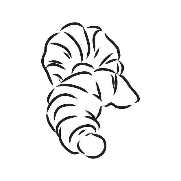 Croissant Doodle, eine handgezeichnete Doodle Vektorgrafik eines Croissants. Croissant-Vektor-Skizze