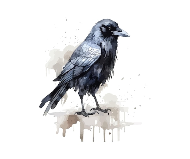 Vektor crow aquarell-vektor-illustrationsentwurf