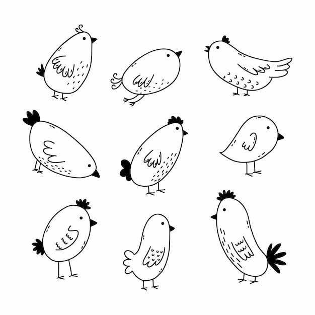 Cute bird set doodle illustration malbuch für kinder