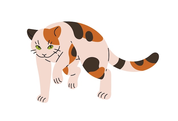 Cute Calico Katze schleichende Jagd Glückliche Kätzchen spielt geht zu fangen Lustige Kätzchen beobachtet Schritte ruhig zu angreifen Haustier Haustier Verhalten flache isolierte Vektor Illustration auf weißem Hintergrund