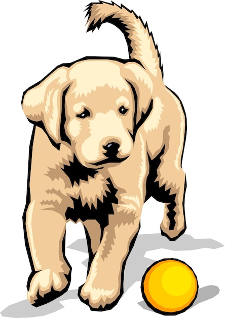 Cute labrador retriever hund spielt ball cartoon handgezeichnete haustiere comic-vektor-illustration