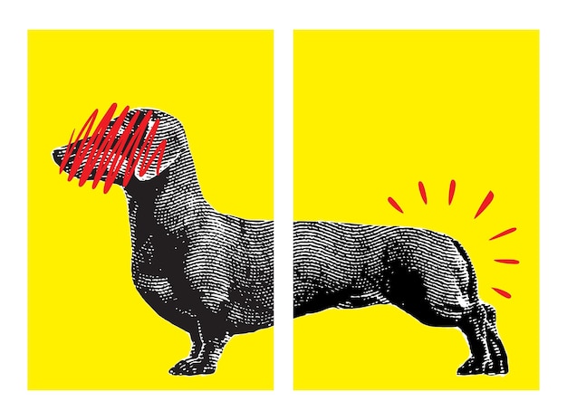 Vektor dachshund-hund-kunstwerke dachshund poster würstchen oder wurst hund set poster pop-art-stil