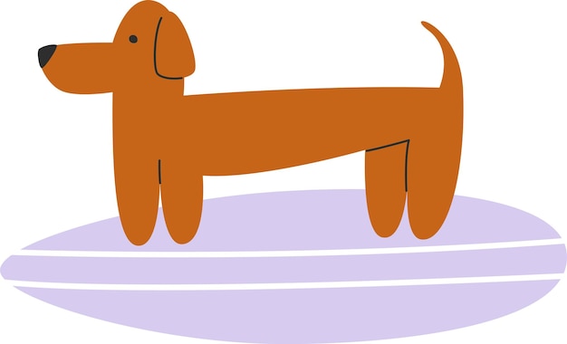 Dachshund-Hund-Surfer auf einem Surfbrett