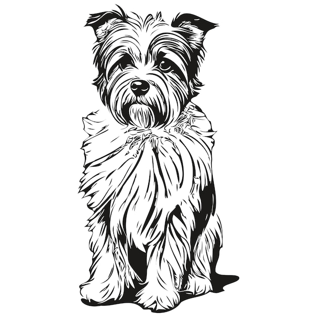 Vektor dandie dinmont terrier hund cartoon gesicht tinte porträt schwarz-weiß-skizze zeichnung t-shirt druck realistische haustier-silhouette