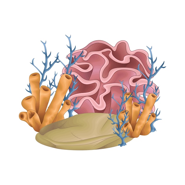 Vektor darstellung von korallen