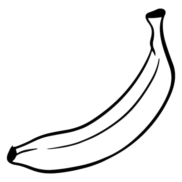 Vektor das obst. banane. eine gesunde frucht. vitamine in lebensmitteln. linienstil. illustrationen für design und dekoration.