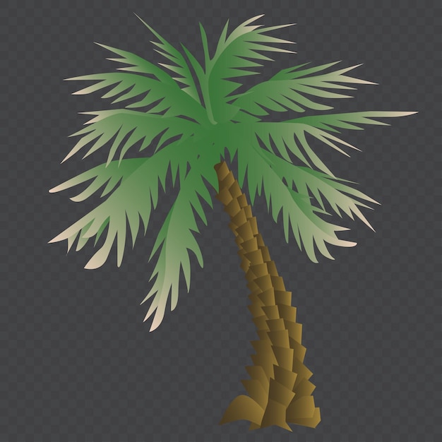Vektor dattelbaum pohon kurma palme transparent