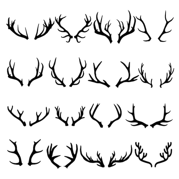 Deer Horn Deer Horn Vector Illustration EPS Design für natürliche Eleganz