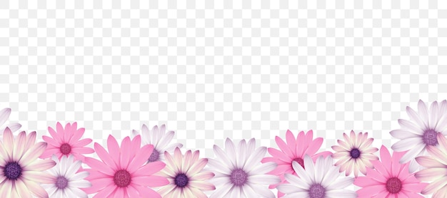 Dekoratives Gestaltungselement mit rosa Frühlingssommerblumenrand auf transparentem Hintergrund
