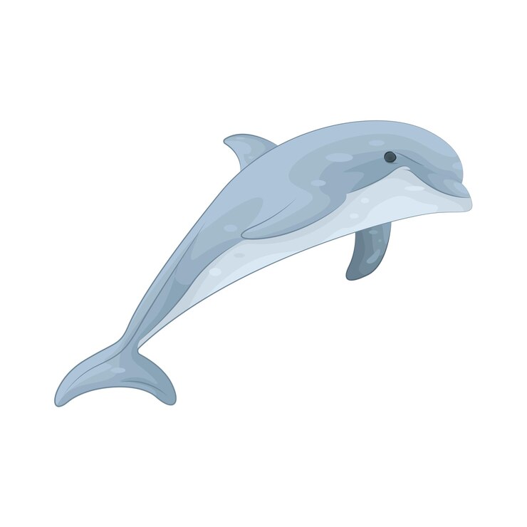 Vektor delfin