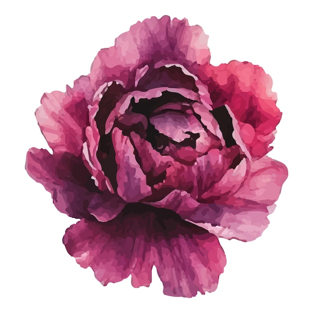 Delikate Beige-Pioenenblumenillustration mit weichen geschichteten Blütenblättern Perfekt, um Designprojekten Eleganz und Raffinesse hinzuzufügen Dekor und Schreibwaren Hochequalität und wunderschöne Details