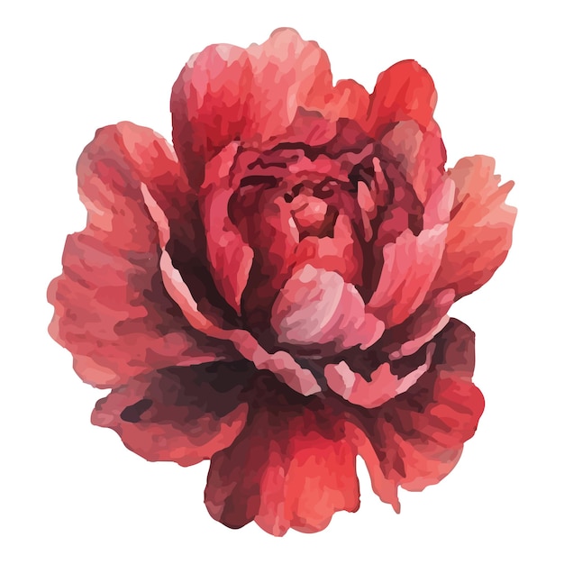 Delikate Beige-Pioenenblumenillustration mit weichen geschichteten Blütenblättern Perfekt, um Designprojekten Eleganz und Raffinesse hinzuzufügen Dekor und Schreibwaren Hochequalität und wunderschöne Details