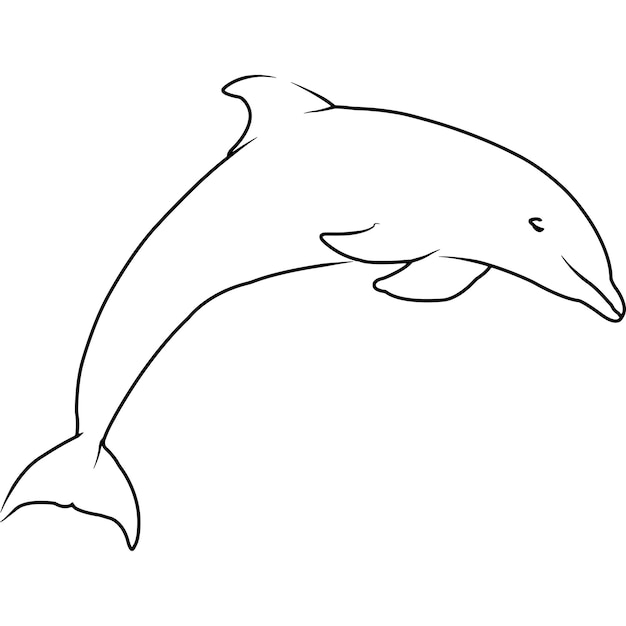 Vektor delphin hand skizzierte handgezeichnete vektor-cliparts