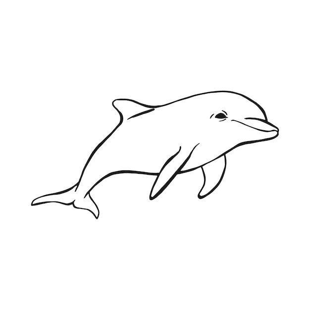 Delphin Handgezeichnete Abbildung in Vektor konvertiert Vektor mit Tier unter Wasser