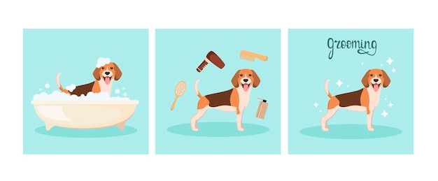 Vektor der beagle-hund wäscht sich im badezimmer grooming cartoon design