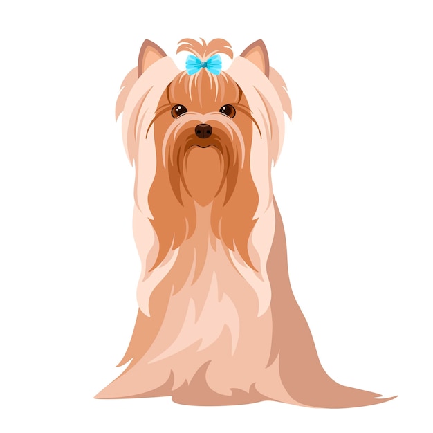 Vektor der kopf eines yorkshire-terriers auf weißem hintergrund. cartoon-hund-design.