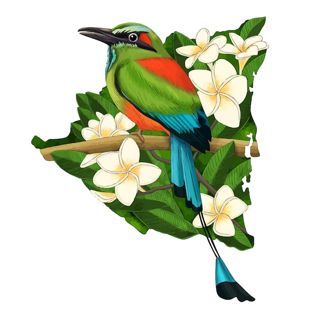 Der Nationalvogel von Nicaragua El Guardabarranco auf der Karte und Blumen von Sacuanjoche