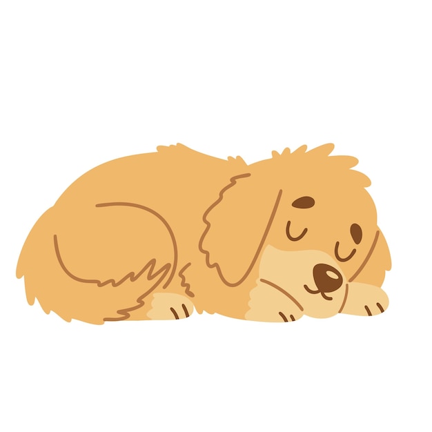 Der süße Hund schläft