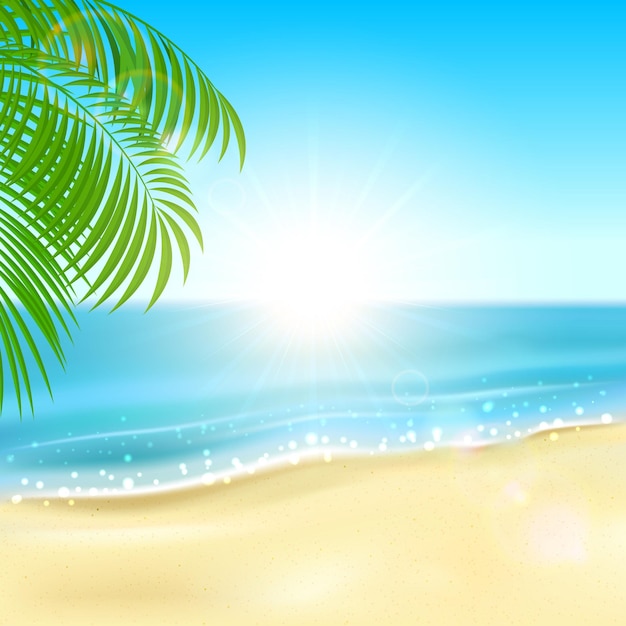 Der tropische Strand