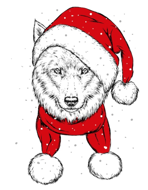 Der wolf in der weihnachtsmütze