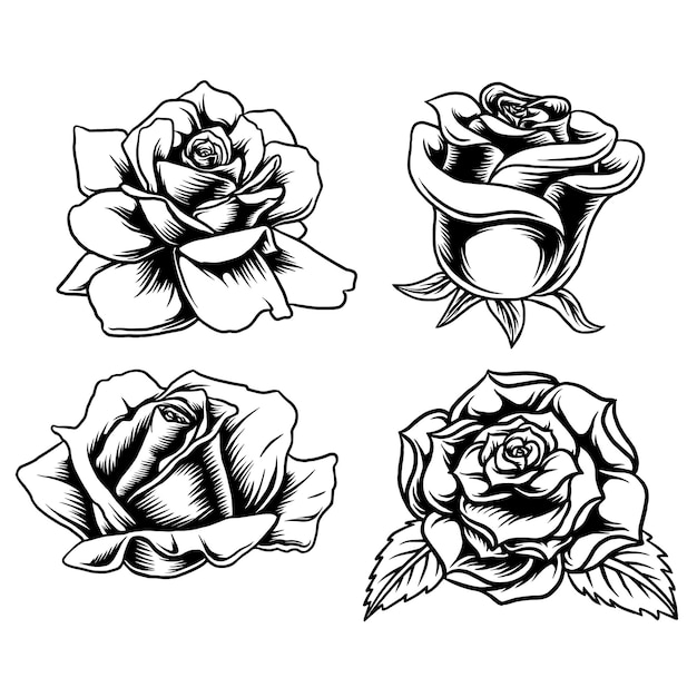 Design-vektor-linien-kunst-set rose