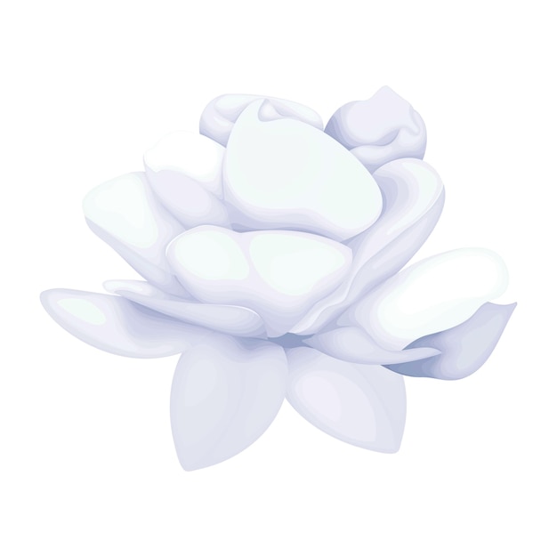 Detaillierte Aquarellblumenillustration Elegante Aquarell Frühlingsblume