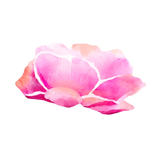 Detaillierte Aquarellblumenillustration Elegante Aquarell Frühlingsblume