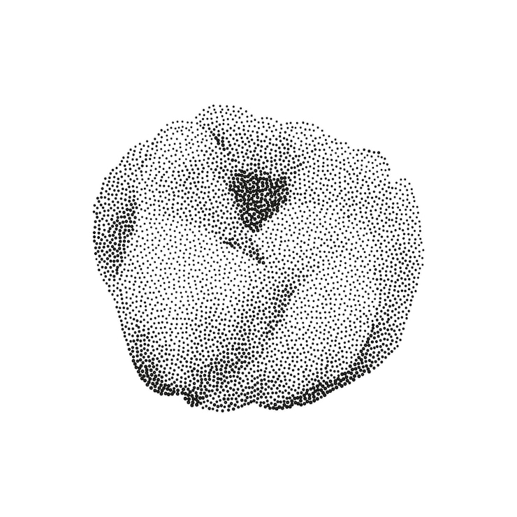 Vektor detaillierte donut-illustration auf weißem hintergrund