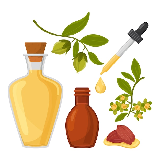 Detaillierte jojoba-elementsammlung