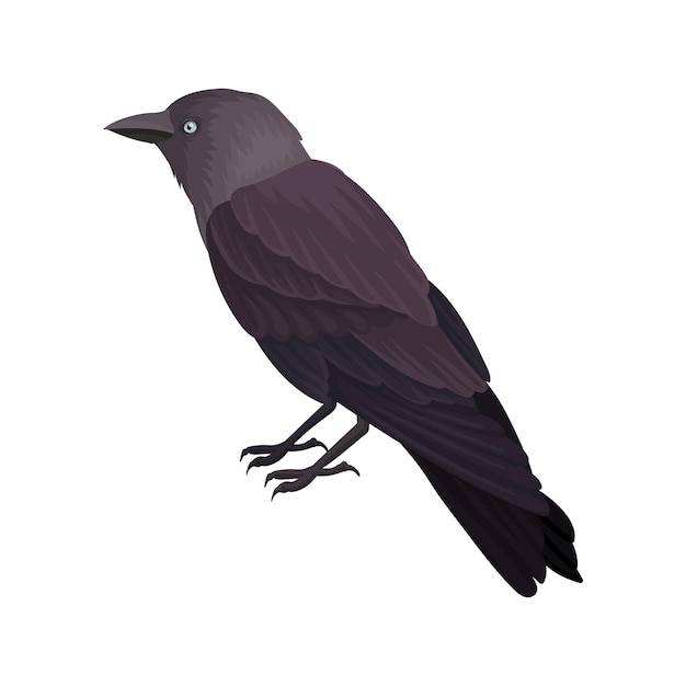 Vektor detailliertes vektorporträt des amselvogels mit dunklen federn und blauem auge wildlife-themenelement für ornithologie-buchdruck oder poster