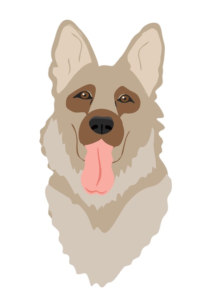 Deutscher schäferhund isoliert rasse realistische farbvektorillustration vom zeichensymbol der hundeshow