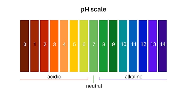 Diagramm der ph-skala