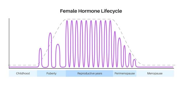 Vektor diagramm des lebensstils weiblicher hormone östrogen- und progesterondiagramm im weiblichen körper in der kindheit, pubertät, reproduktiven jahren, perimenopause und wechseljahre, maximaler und minimaler flacher vektor
