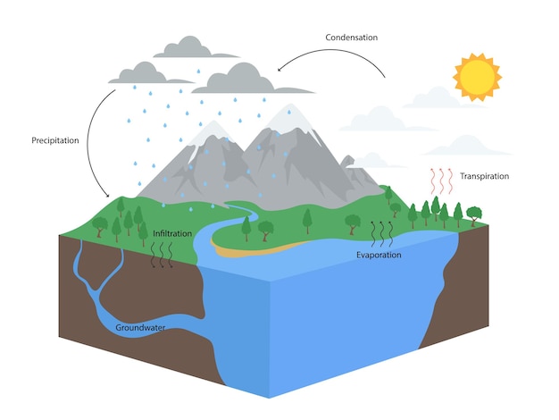 Diagramm des Wasserkreislaufs in der Naturillustration