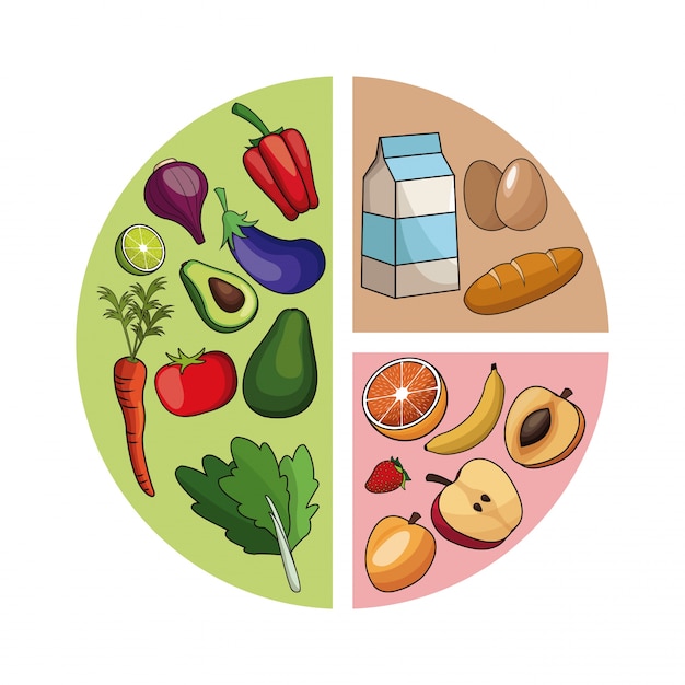 Vektor diagramm gesundes essen