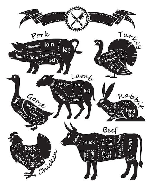 Vektor diagrammanleitung zum schneiden von fleisch