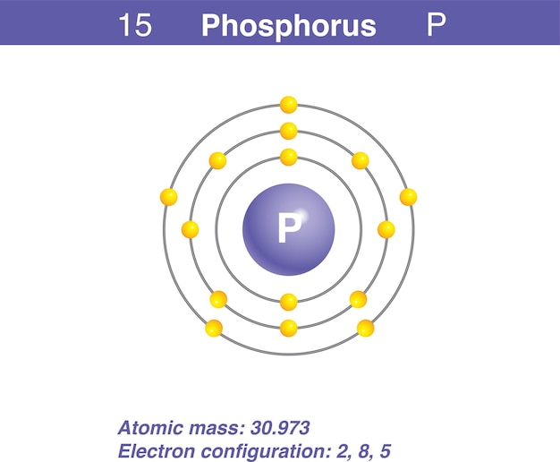 Vektor diagrammdarstellung der element-phosphor-darstellung