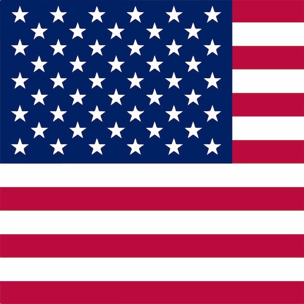 Die amerikanische Flagge