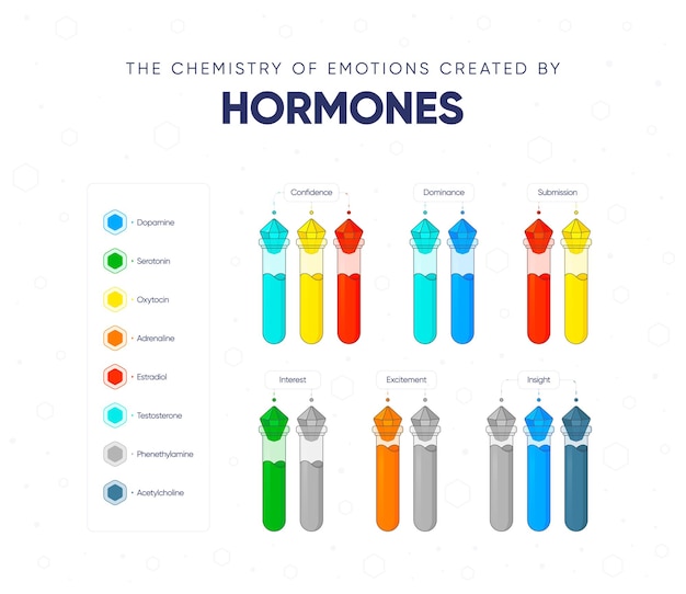 Vektor die chemie der emotionen, die durch hormonvektorillustration erzeugt wird