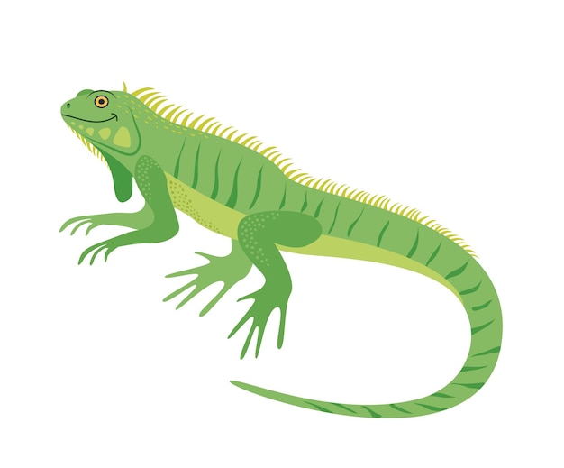 Die figur iguana lizard reptile vector illustration