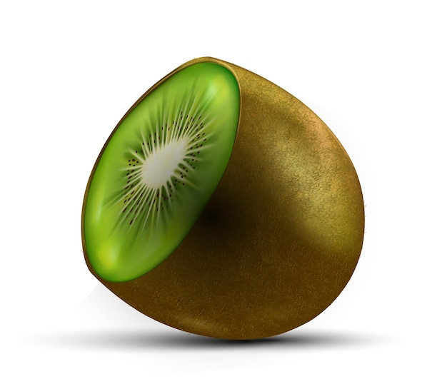 Die Hälfte des Kiwi-Konzepts