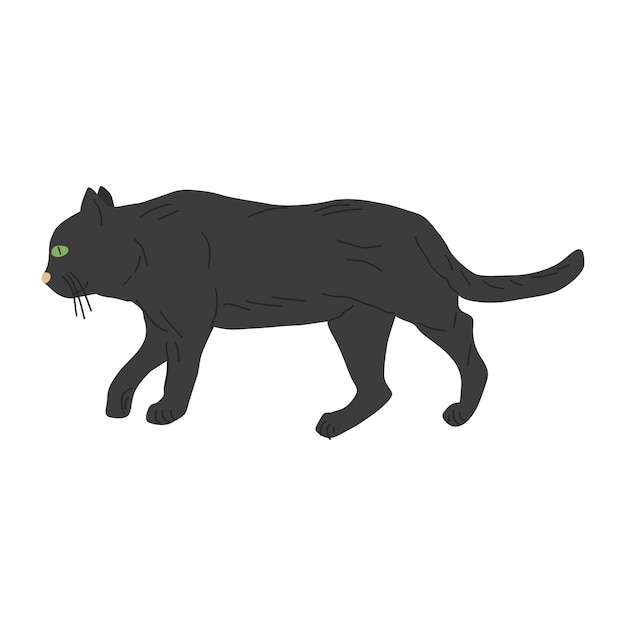 Vektor die katze ist in einer go-position gezeichnet. katze schwarz. design eines bannerplakats für tierhandlung und heimtierbedarf. flache vektorillustration