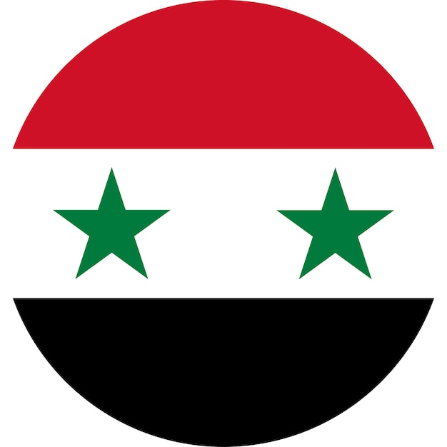 Vektor die nationalflagge der welt syrien