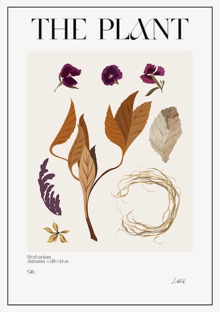 Vektor die pflanze. plakat zum herbstblumenmarkt. herbarium