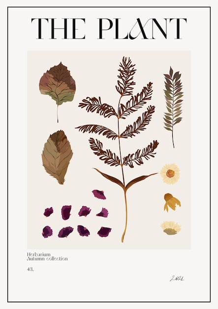 Vektor die pflanze. plakat zum herbstblumenmarkt. herbarium