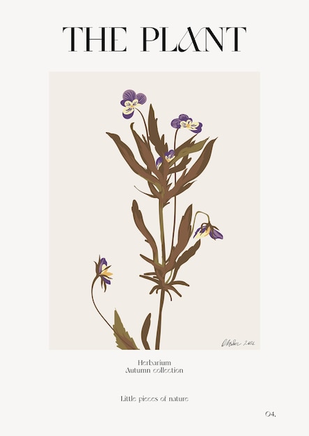 Vektor die pflanze. plakat zum herbstblumenmarkt. herbarium