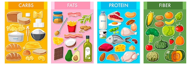 Vektor die vier wichtigsten lebensmittelgruppen